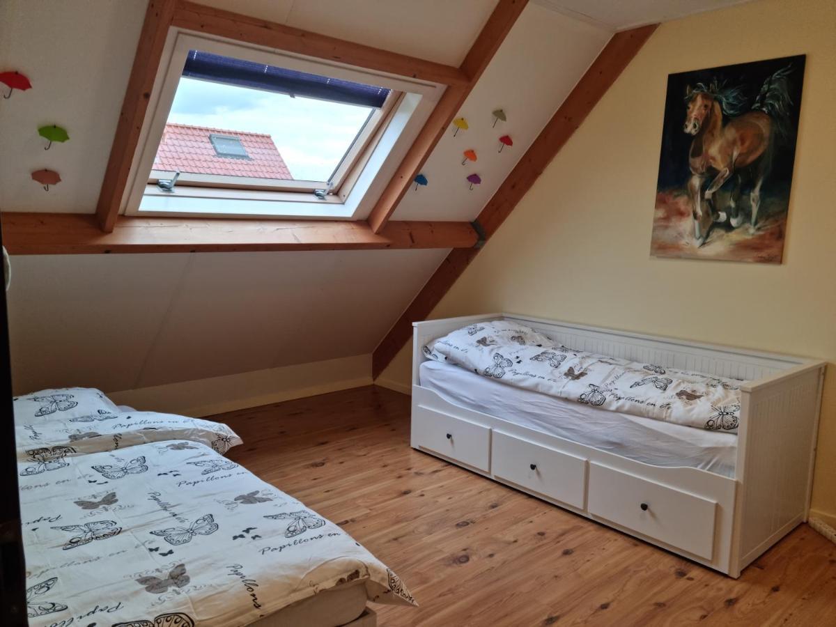 Apartament Mamert 尤斯托尼莫斯基 外观 照片